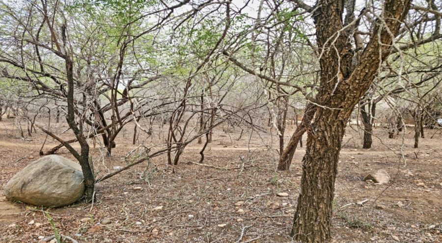 0 Bedroom Property for Sale in Marloth Park Mpumalanga