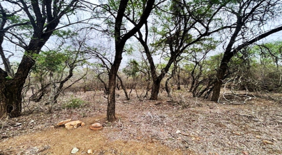 0 Bedroom Property for Sale in Marloth Park Mpumalanga