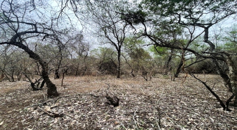 0 Bedroom Property for Sale in Marloth Park Mpumalanga