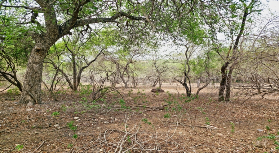 0 Bedroom Property for Sale in Marloth Park Mpumalanga