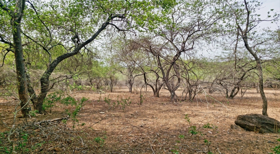 0 Bedroom Property for Sale in Marloth Park Mpumalanga