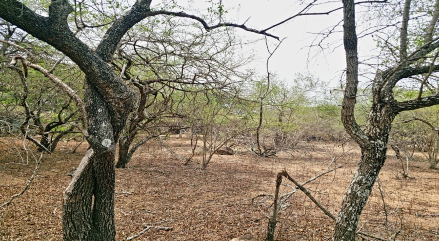 0 Bedroom Property for Sale in Marloth Park Mpumalanga