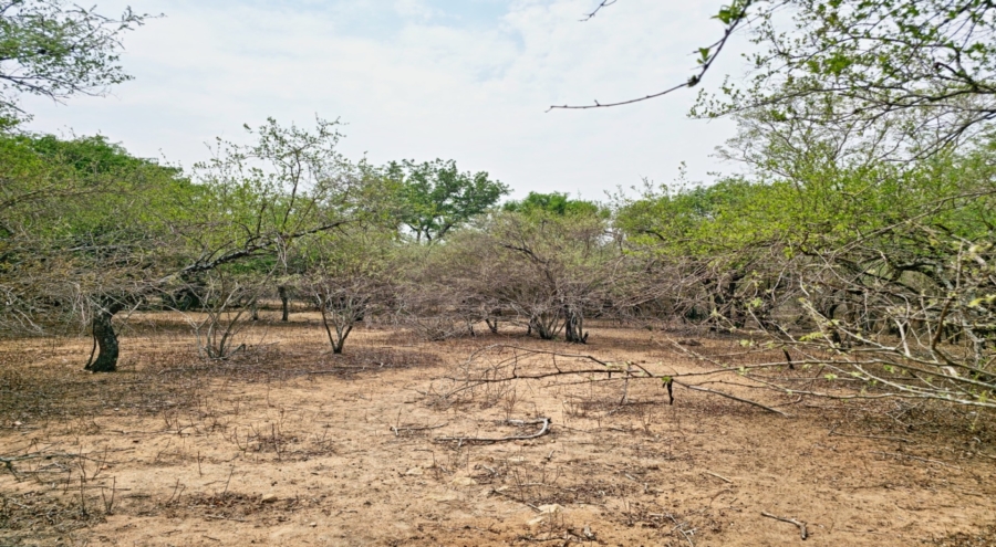 0 Bedroom Property for Sale in Marloth Park Mpumalanga