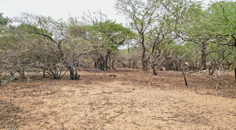 0 Bedroom Property for Sale in Marloth Park Mpumalanga