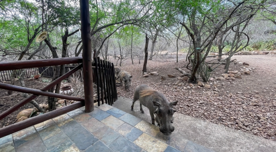 1 Bedroom Property for Sale in Marloth Park Mpumalanga