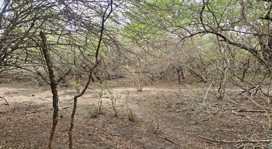 0 Bedroom Property for Sale in Marloth Park Mpumalanga