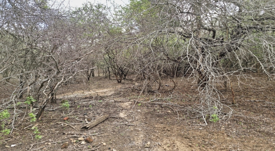 0 Bedroom Property for Sale in Marloth Park Mpumalanga