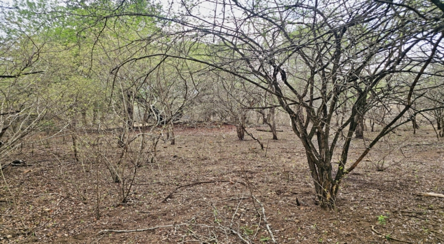 0 Bedroom Property for Sale in Marloth Park Mpumalanga