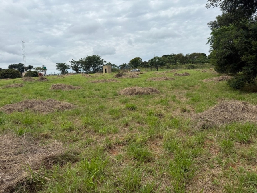 0 Bedroom Property for Sale in White River Mpumalanga