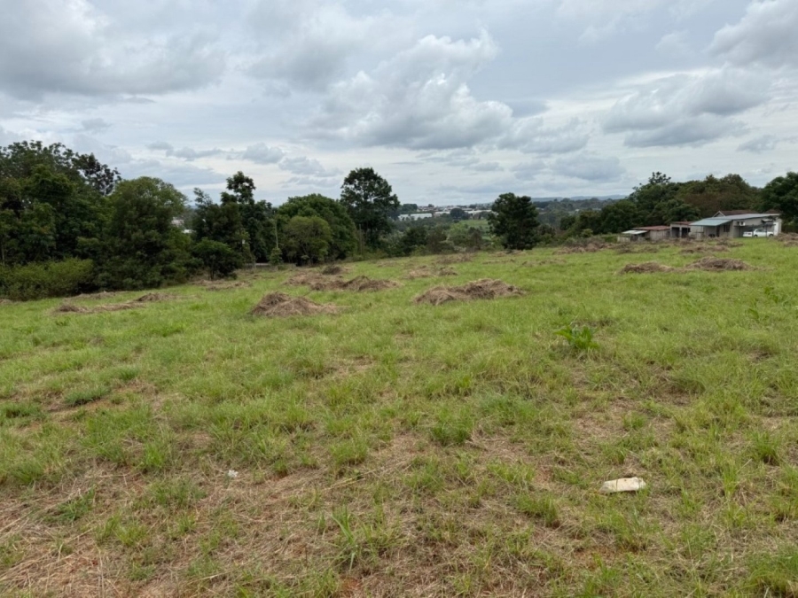 0 Bedroom Property for Sale in White River Mpumalanga