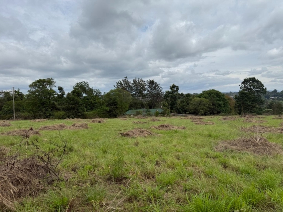 0 Bedroom Property for Sale in White River Mpumalanga