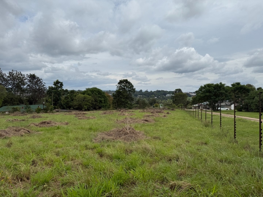 0 Bedroom Property for Sale in White River Mpumalanga