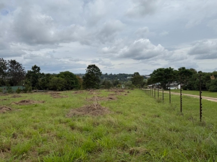 0 Bedroom Property for Sale in White River Mpumalanga