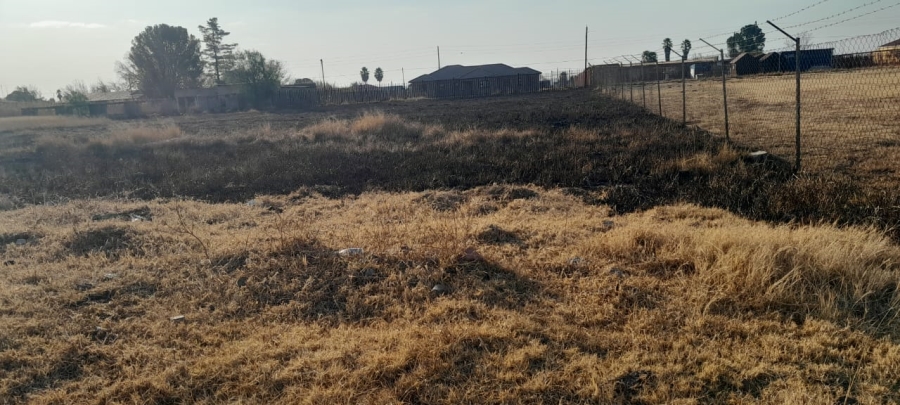 0 Bedroom Property for Sale in Eendracht Mpumalanga