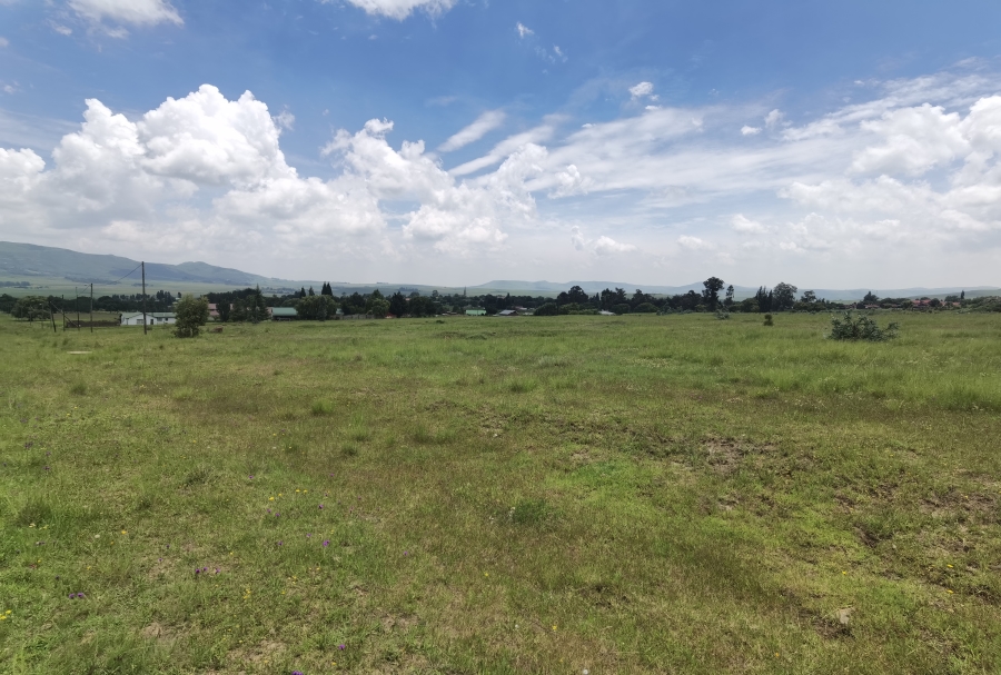 0 Bedroom Property for Sale in Wakkerstroom Mpumalanga