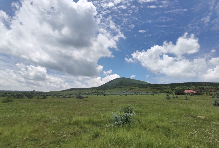 0 Bedroom Property for Sale in Wakkerstroom Mpumalanga