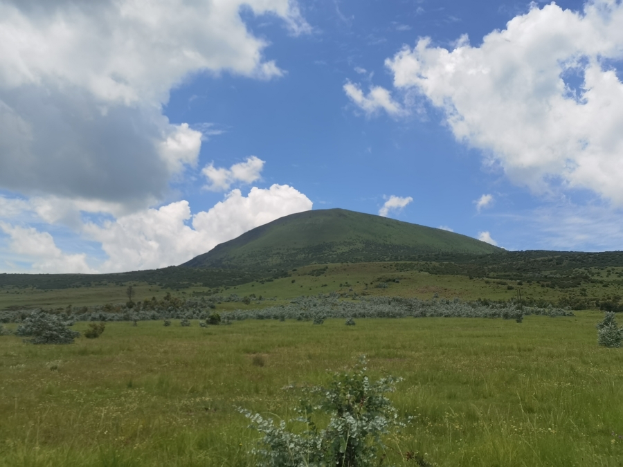 0 Bedroom Property for Sale in Wakkerstroom Mpumalanga