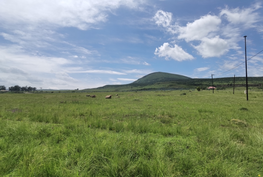 0 Bedroom Property for Sale in Wakkerstroom Mpumalanga