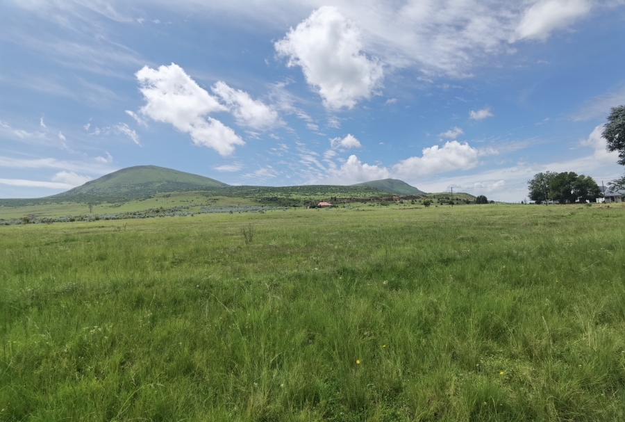 0 Bedroom Property for Sale in Wakkerstroom Mpumalanga