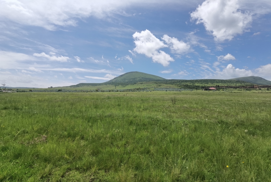 0 Bedroom Property for Sale in Wakkerstroom Mpumalanga