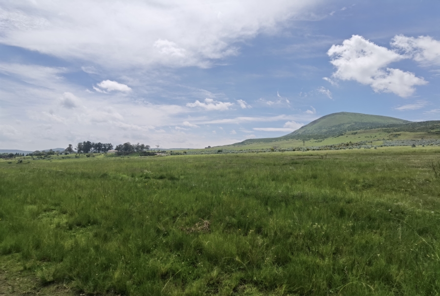 0 Bedroom Property for Sale in Wakkerstroom Mpumalanga