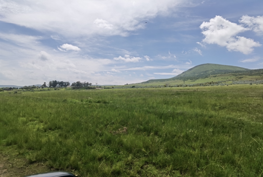 0 Bedroom Property for Sale in Wakkerstroom Mpumalanga