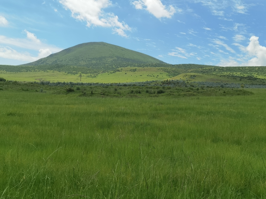0 Bedroom Property for Sale in Wakkerstroom Mpumalanga