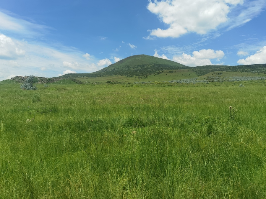 0 Bedroom Property for Sale in Wakkerstroom Mpumalanga