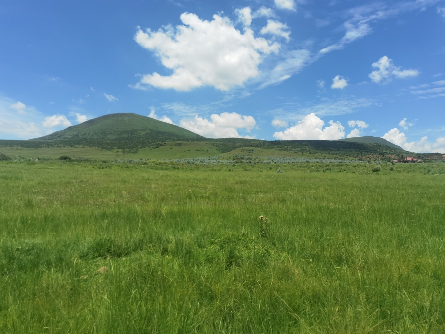 0 Bedroom Property for Sale in Wakkerstroom Mpumalanga