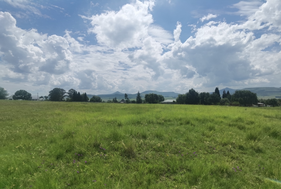 0 Bedroom Property for Sale in Wakkerstroom Mpumalanga