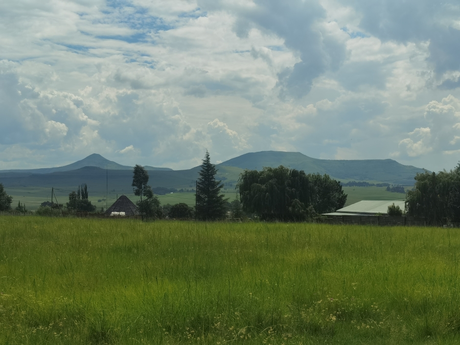 0 Bedroom Property for Sale in Wakkerstroom Mpumalanga