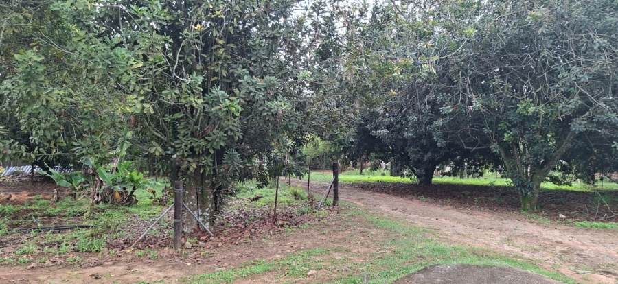 Commercial Property for Sale in White River Rural Mpumalanga