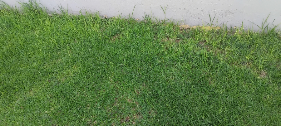 0 Bedroom Property for Sale in Bankenveld Estate Mpumalanga