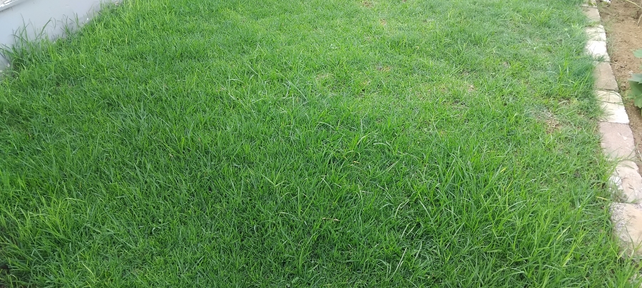 0 Bedroom Property for Sale in Bankenveld Estate Mpumalanga