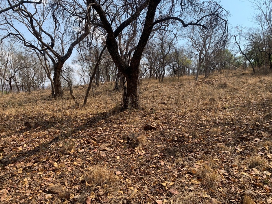 0 Bedroom Property for Sale in Kranspoort Mpumalanga