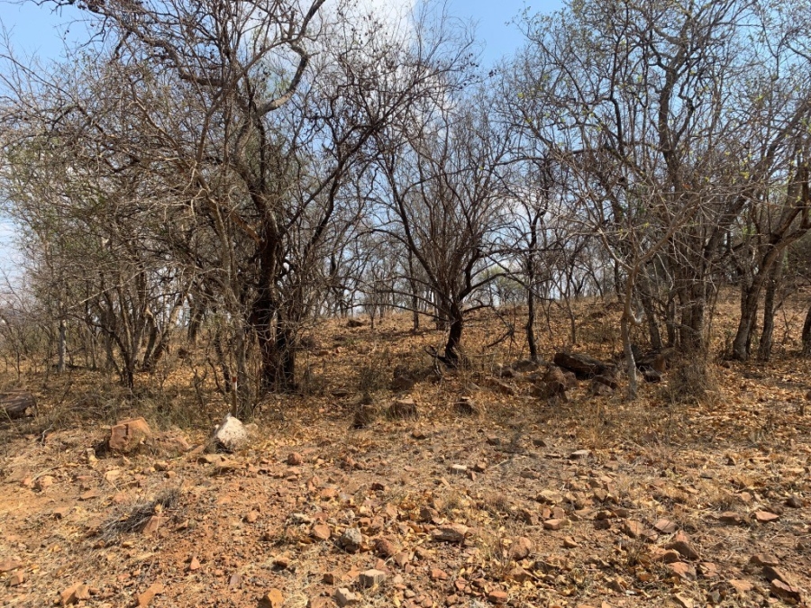 0 Bedroom Property for Sale in Kranspoort Mpumalanga