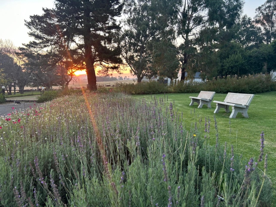 6 Bedroom Property for Sale in Volksrust Mpumalanga