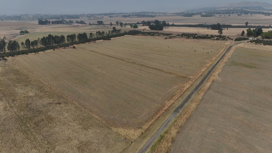 6 Bedroom Property for Sale in Volksrust Mpumalanga