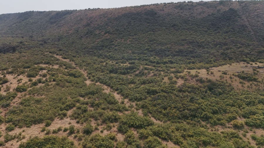 6 Bedroom Property for Sale in Volksrust Mpumalanga