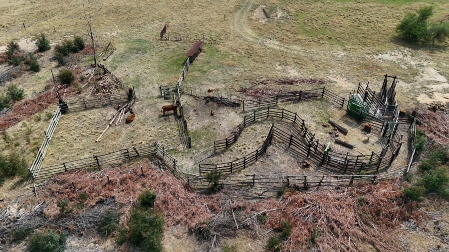 6 Bedroom Property for Sale in Volksrust Mpumalanga