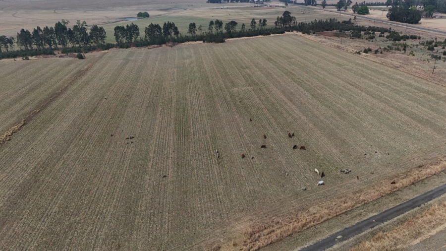 6 Bedroom Property for Sale in Volksrust Mpumalanga