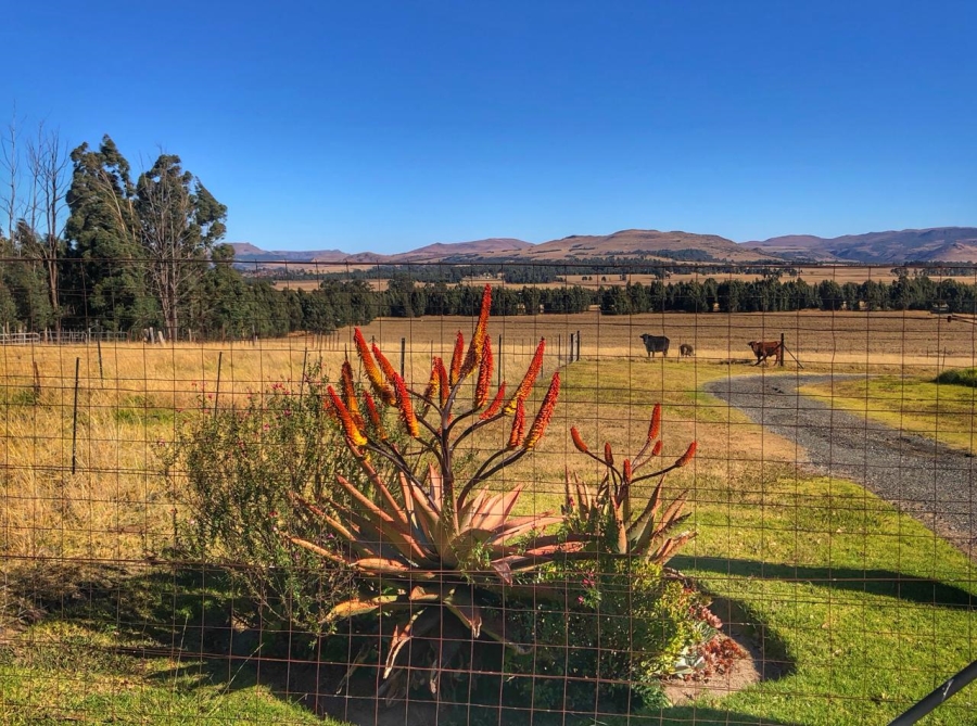 6 Bedroom Property for Sale in Volksrust Mpumalanga