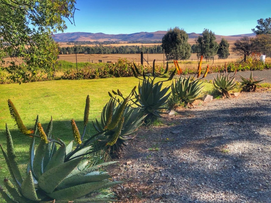 6 Bedroom Property for Sale in Volksrust Mpumalanga