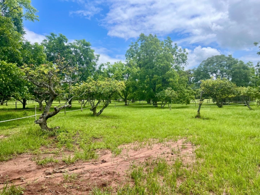 0 Bedroom Property for Sale in Nelspruit Ext 39 Mpumalanga