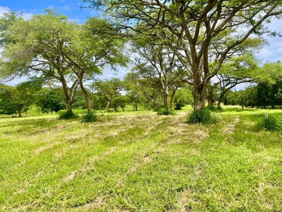 0 Bedroom Property for Sale in Nelspruit Ext 39 Mpumalanga