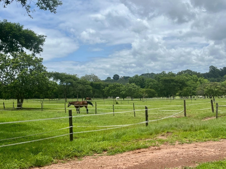 4 Bedroom Property for Sale in Nelspruit Ext 39 Mpumalanga