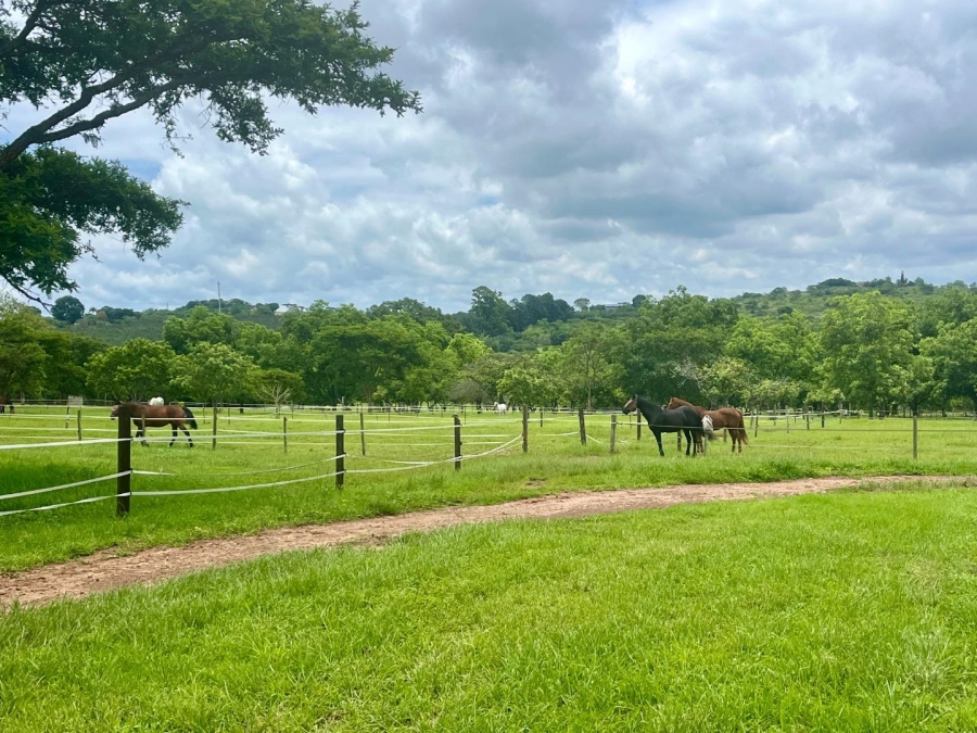 4 Bedroom Property for Sale in Nelspruit Ext 39 Mpumalanga