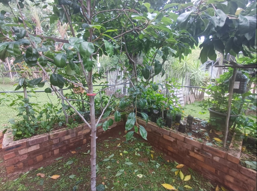 3 Bedroom Property for Sale in Kranspoort Mpumalanga