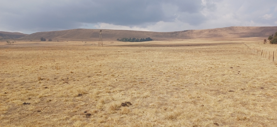 0 Bedroom Property for Sale in Amersfoort Rural Mpumalanga