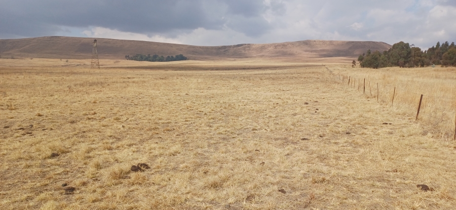 0 Bedroom Property for Sale in Amersfoort Rural Mpumalanga